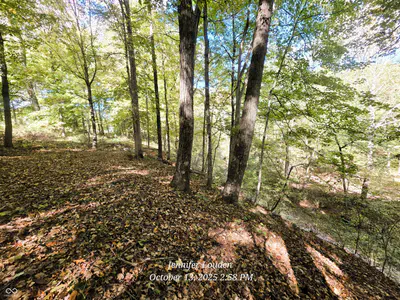 11182 County Road 280, Westport - 35