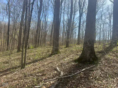 4100 Block of Lower Schooner Road, Nashville - 15