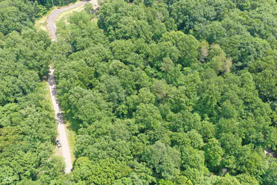 0 Parkwood East Drive, Martinsville - 8