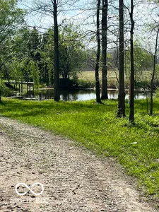 7642 County Road 350, Shirley - 40