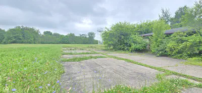 1817 Park Avenue, Alexandria - 5
