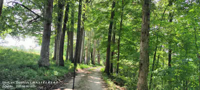 11182 County Road 280, Westport - 7