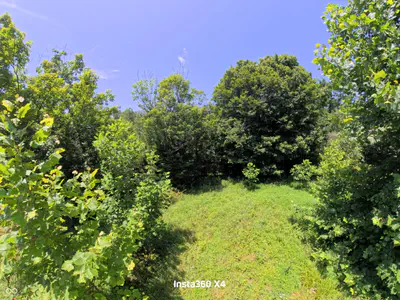 9950 Chapel Hill Road, Heltonville - 10