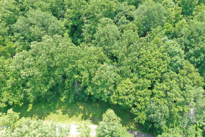 0 Parkwood East Drive, Martinsville - 6