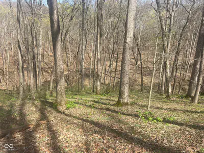 4100 Block of Lower Schooner Road, Nashville - 17