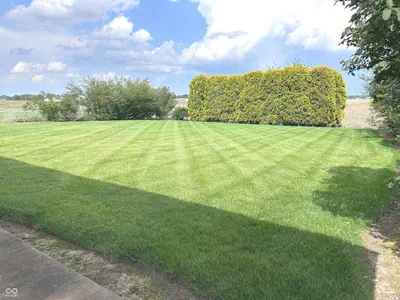 423 Alexander Drive, Seymour - 7