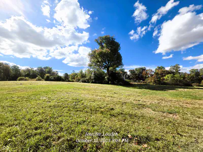 11182 County Road 280, Westport - 37