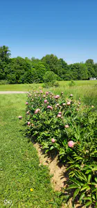 23176 Us Highway 52, Laurel - 7
