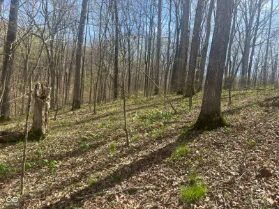 4100 Block of Lower Schooner Road, Nashville - 18