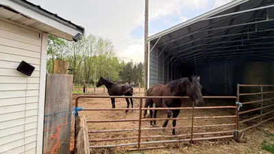 9490 County Road 700, Daleville - 8