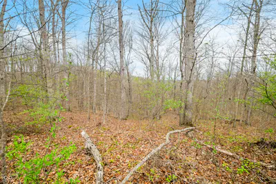 4100 Block of Lower Schooner Road, Nashville