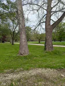 255 Riverwood Drive, Noblesville - 3