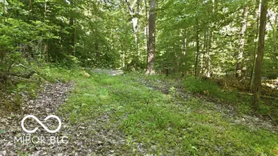 7746 Tunnel Road, Unionville - 9
