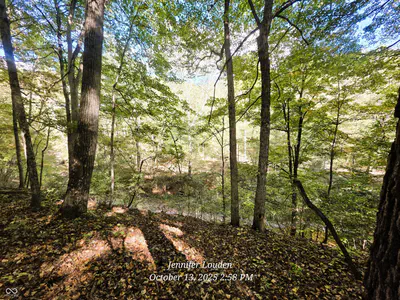 11182 County Road 280, Westport - 41