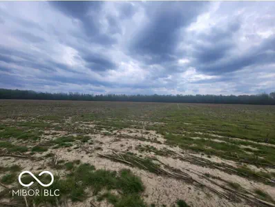 8000 Co. Rd. 300 Road, Seymour - 5