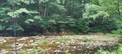 11182 County Road 280, Westport - 19
