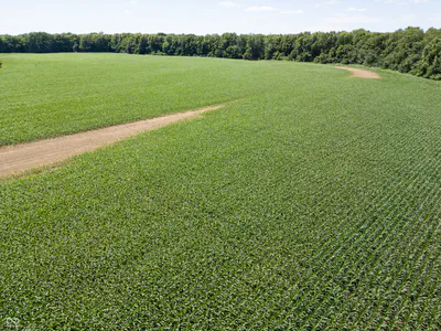 0 E State Road 44, Franklin - 14