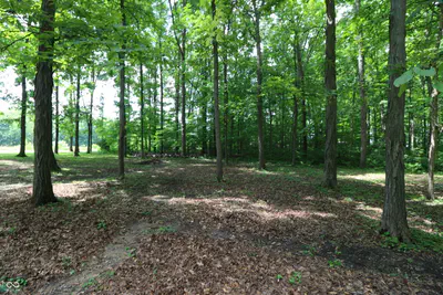 3020 Offield Monument Road, Crawfordsville - 41