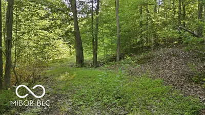 7746 Tunnel Road, Unionville - 14