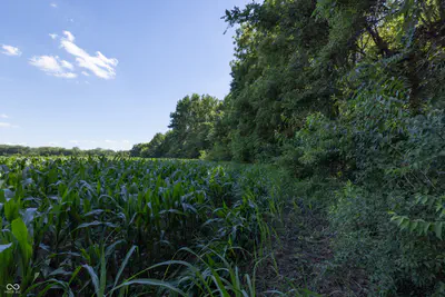 0 E State Road 44, Franklin - 32
