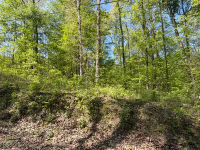 00 Straight Line Road, Coal City - 3