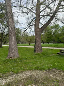 255 Riverwood Drive, Noblesville - 2