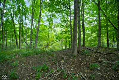 13562 Creekridge Lane, Fishers - 10
