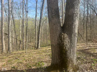4100 Block of Lower Schooner Road, Nashville - 19