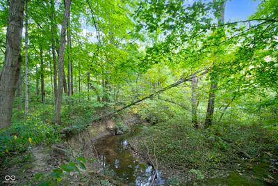 13562 Creekridge Lane, Fishers - 9