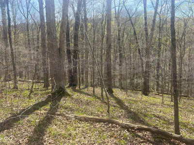 4100 Block of Lower Schooner Road, Nashville - 9