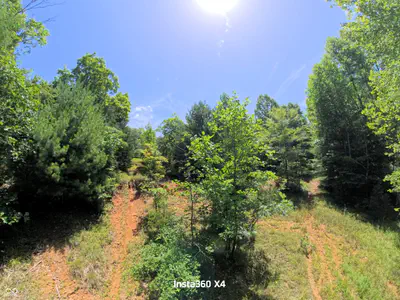 9950 Chapel Hill Road, Heltonville - 8