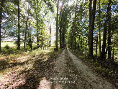 11182 County Road 280, Westport - 34