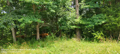 11182 County Road 280, Westport - 17