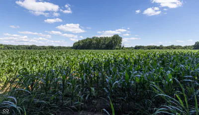 0 E State Road 44, Franklin - 31