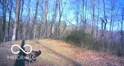 00 Legendary Drive, Martinsville - 15