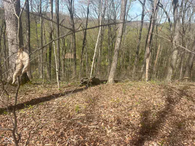 4100 Block of Lower Schooner Road, Nashville - 11