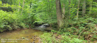 11182 County Road 280, Westport - 32